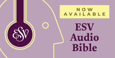 Image 14: Narrated ESV Audio Bible