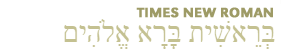 Times New Roman font