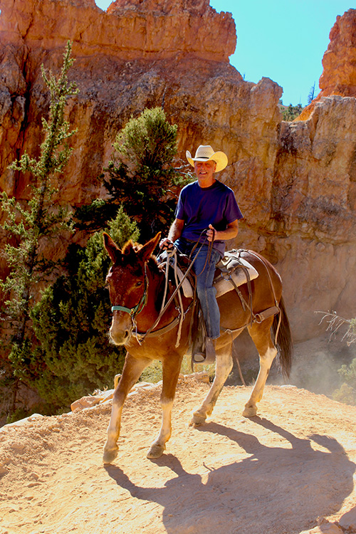 Alan Pearson Cowboy Image