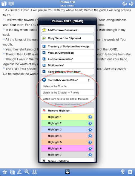 Audio Bible Options