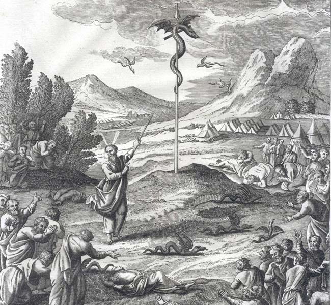 The Brasen Serpent Set up by Moses in the Wilderness - John Image