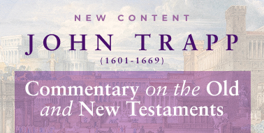 All 5 Volumes of John Trapp's Commentary Image 4: All 5 Volumes of John Trapp's Commentary